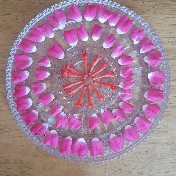 Meet your Posher, Irene - Picture 1 of 1